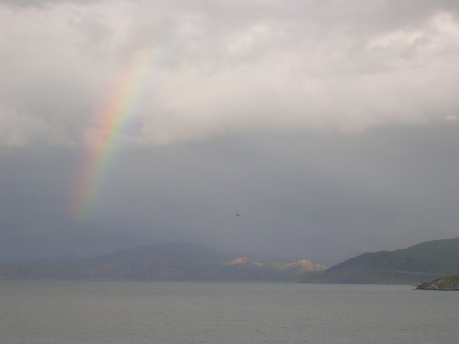 Regenbogen